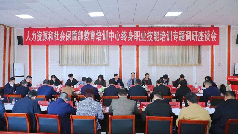 成人教育学历，学信网查询指南